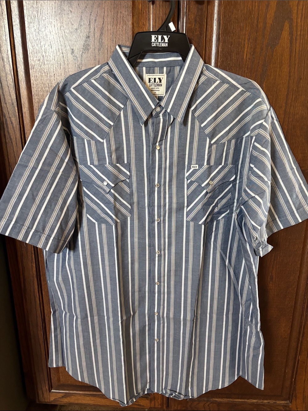 Ely Cattleman Blue and White Striped Short Sleeve Western Shirt